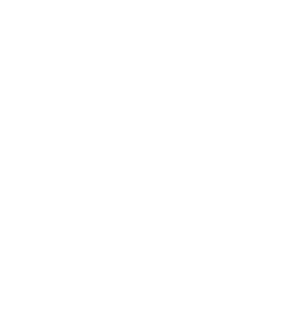 SSI-TEL