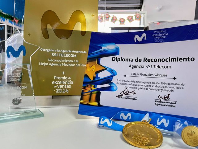 Placa y diploma del Premio a la Excelencia en Ventas 2024